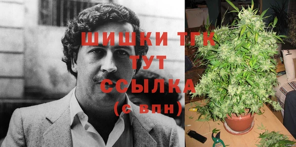 герыч Бронницы